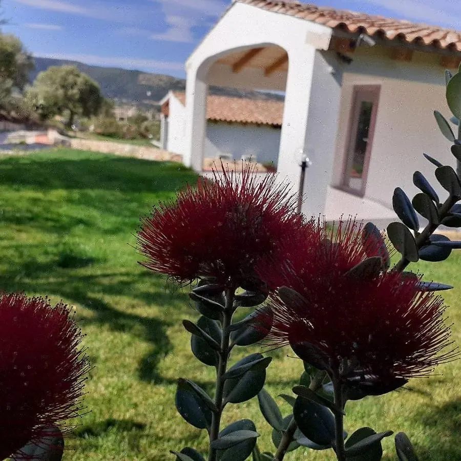 Bed & Breakfast Sardama B&B Affittacamere Torpè